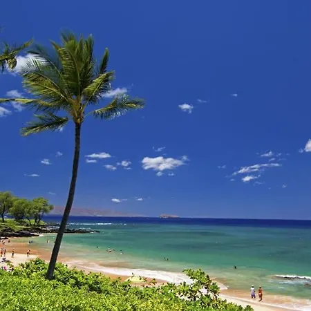 Oceanfront Penthouse With Amazing Views At Kauhale Makai Apartamento Kihei Exterior foto